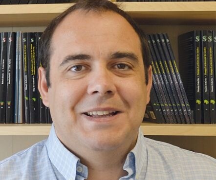 Fermín Fernández Belloso