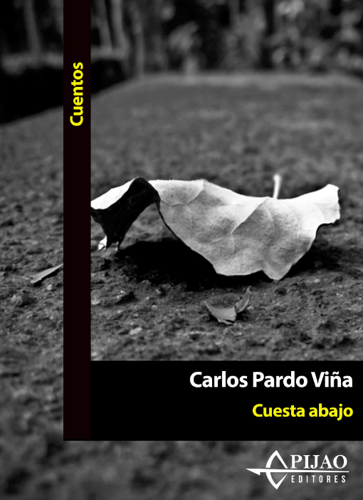 Cuesta abajo (Ebook)